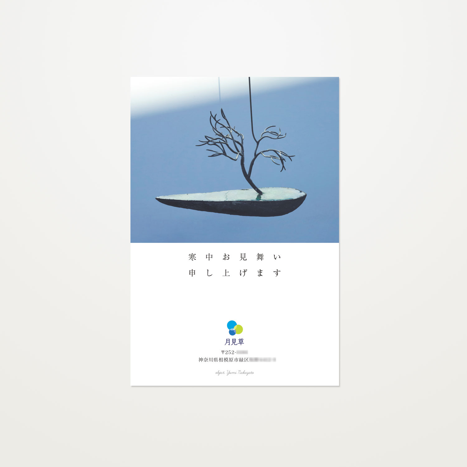 月見草 寒中見舞い